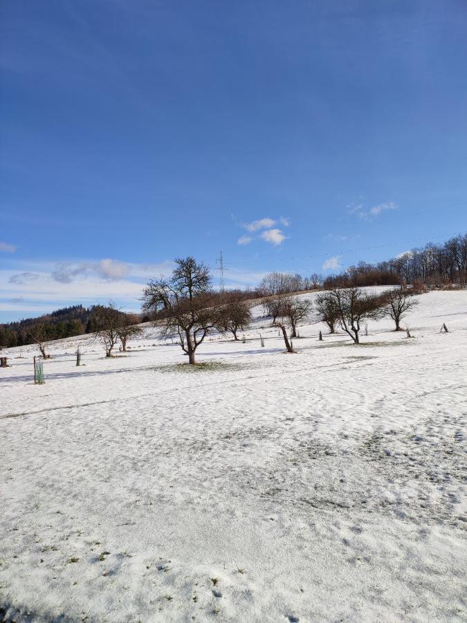 Chata Na Karpackiej Kostrzyca Bagian luar foto
