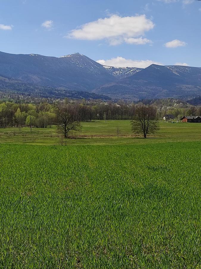 Chata Na Karpackiej Kostrzyca Bagian luar foto