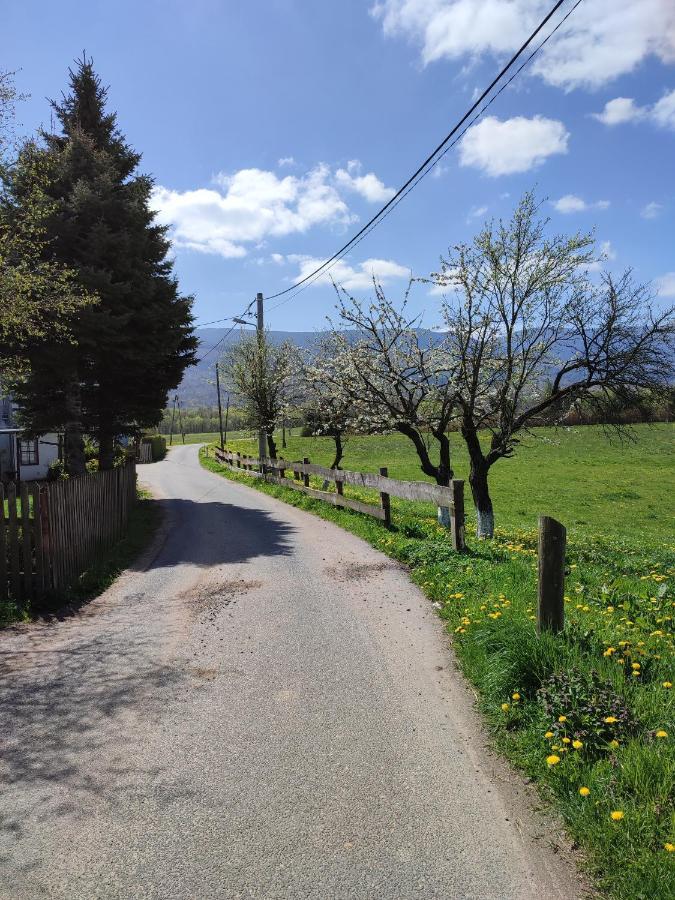 Chata Na Karpackiej Kostrzyca Bagian luar foto