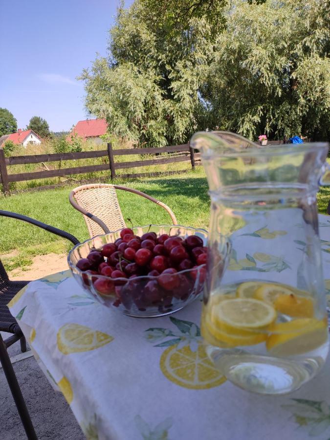 Chata Na Karpackiej Kostrzyca Bagian luar foto