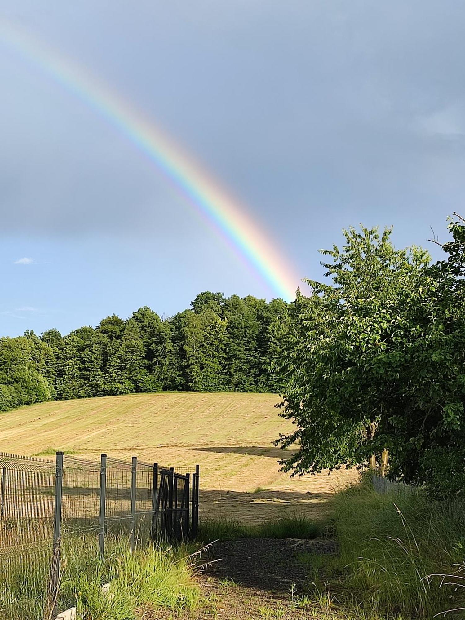 Chata Na Karpackiej Kostrzyca Bagian luar foto